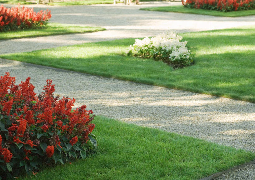 无人,公园,横图,俯视,室外,白天,旅游,度假,草地,草坪,花海,花圃,植物,道路,路,叶子,许多,阴影,盛开,光线,影子,小路,交通,花蕾,娱乐,草,花,花瓣,花朵,鲜花,红色,绿色,白色,阳光,花丛,花束,花田,花苞,花蕊,享受,休闲,放松,一串红,爆仗红,拉尔维亚,西洋红,彩图,高角度拍摄