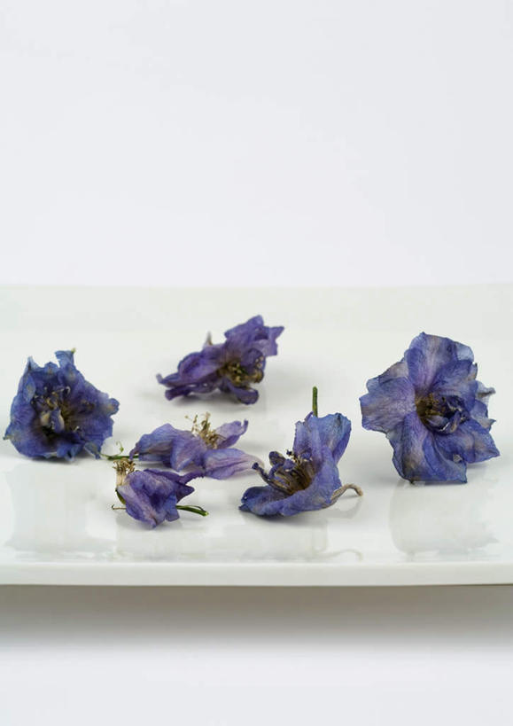 无人,竖图,俯视,室内,特写,白天,白色背景,按摩,美容,桌面,桌子,静物,许多,护肤,盛开,干燥,花蕾,花,花瓣,花朵,鲜花,紫色,干花,花苞,花蕊,保养,享受,休闲,放松,保健,摄影,影棚,养颜,萝小花,翠雀,大花飞燕草,飞燕草,彩图,高角度拍摄,影棚拍摄,拍摄