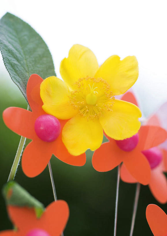 无人,竖图,俯视,彩色,室外,特写,白天,旅游,度假,草地,草坪,美景,植物,盛开,景观,花蕾,娱乐,草,雏菊,花,花瓣,花朵,鲜花,绿色,自然,假花,花苞,花蕊,享受,休闲,景色,放松,自然风光,彩图,高角度拍摄