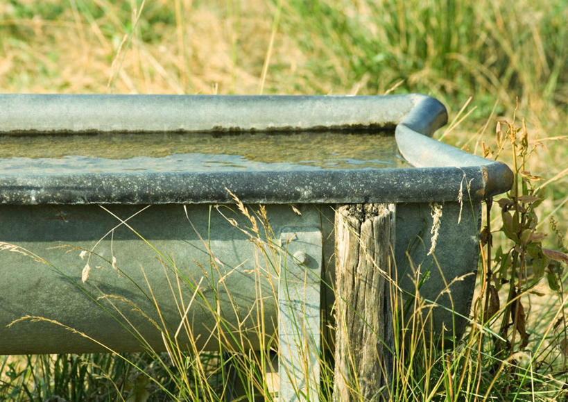 无人,横图,俯视,室外,特写,白天,旅游,度假,美景,植物,枯萎,液体,景观,水池,枯草,娱乐,草,黄色,自然,享受,休闲,景色,放松,自然风光,彩图,高角度拍摄