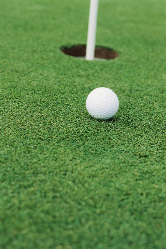 无人,竖图,室外,特写,白天,正面,锻炼,运动,草地,草坪,植物,高尔夫球,球洞,球,草,一个,绿色,球体,单个,高尔夫运动,体育,彩图,健身