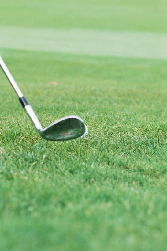 无人,竖图,室外,特写,白天,正面,锻炼,运动,草地,草坪,植物,高尔夫,高尔夫球,草,一个,绿色,单个,高尔夫球杆,高尔夫运动,高尔夫球具,体育,彩图,健身