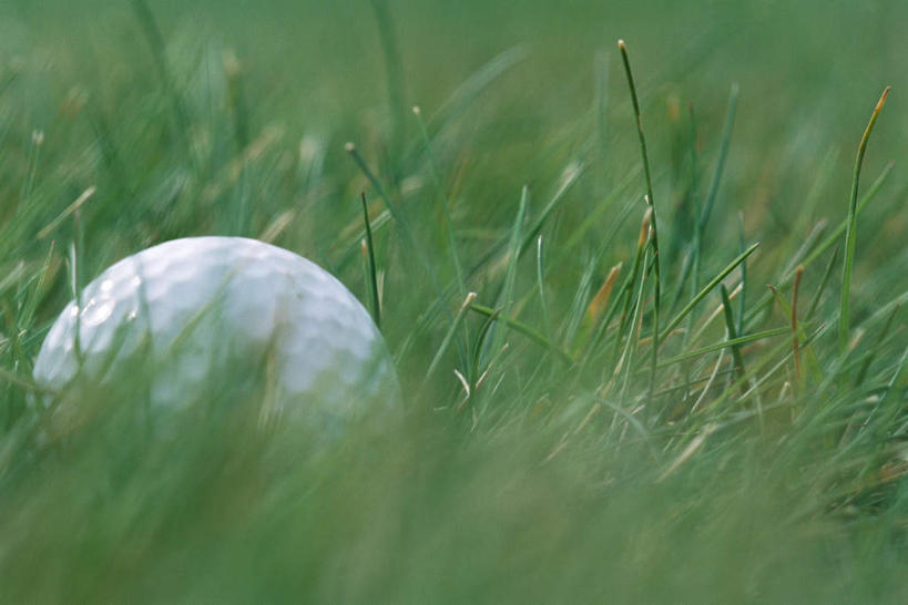 无人,横图,室外,特写,白天,正面,锻炼,运动,草地,草坪,植物,朦胧,模糊,高尔夫,高尔夫球,球,草,一个,绿色,白色,单个,高尔夫运动,高尔夫球具,体育,彩图,健身