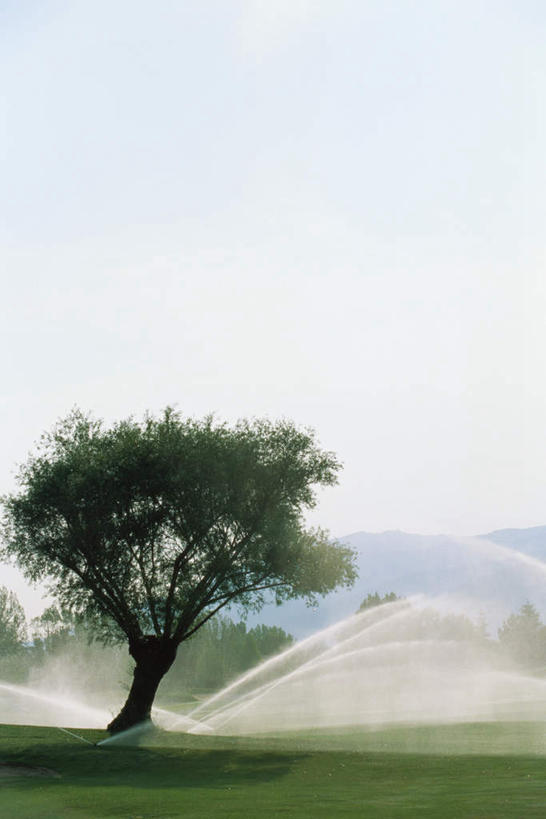 无人,竖图,室外,白天,正面,锻炼,运动,草地,草坪,沙滩,植物,飞溅,溅,高尔夫,沙子,云,云朵,沙地,云彩,沙坑,草,树,树木,绿色,白云,天空,自然,天,生长,成长,喷洒,高尔夫运动,体育,彩图,健身