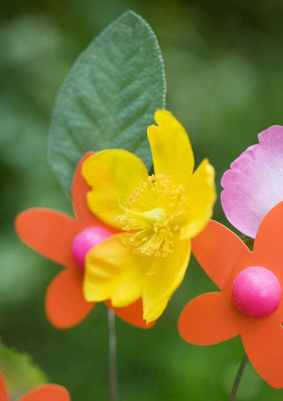 无人,竖图,室外,特写,白天,正面,草地,草坪,植物,许多,装饰,盛开,草,花,花瓣,花朵,花卉,鲜花,黄色,绿色,假花,饰品,花蕊,橙色,彩图