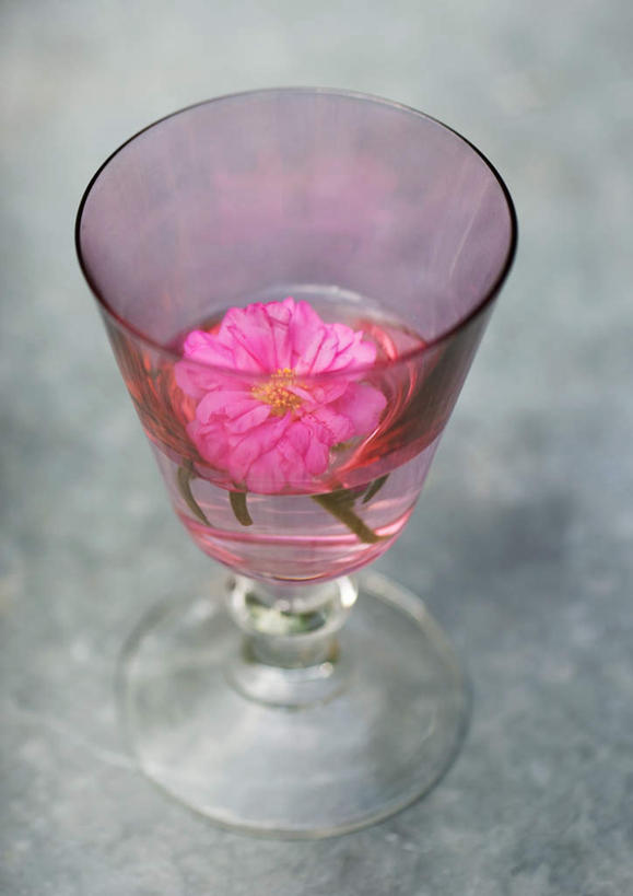 无人,竖图,俯视,室内,白天,杯子,漂浮,盛开,高脚杯,大丽花,花蕾,玻璃制品,花,花瓣,花朵,鲜花,一朵,粉色,酒杯,花苞,花蕊,菊花,大理花,香槟杯,大丽菊,玻璃杯,彩图,高角度拍摄
