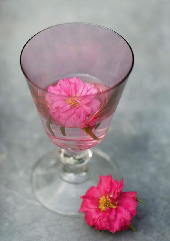 无人,竖图,俯视,室内,白天,杯子,漂浮,盛开,高脚杯,大丽花,花蕾,玻璃制品,花,花瓣,花朵,鲜花,一朵,粉色,酒杯,花苞,花蕊,菊花,大理花,香槟杯,大丽菊,玻璃杯,彩图,高角度拍摄