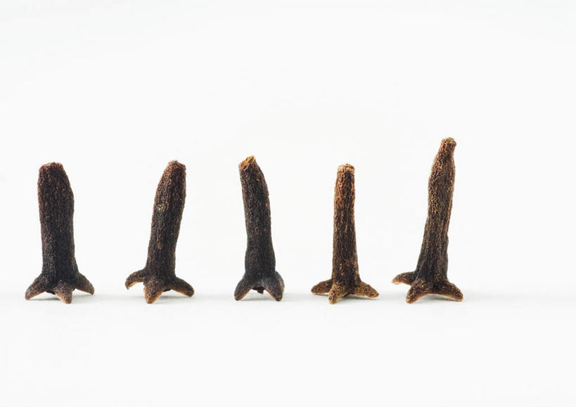 无人,横图,室内,特写,白天,白色背景,正面,桌面,桌子,蔬菜,一排,许多,新鲜,整齐,干燥,调料,香料,食品,棕色,调味品,调味料,食物,排列,摄影,有机食品,绿色食品,影棚,队列,光辉,晾干,初恋,愁绪,愁怨,华北紫丁香,龙梢子,丁香,紫丁香,彩图,影棚拍摄,拍摄