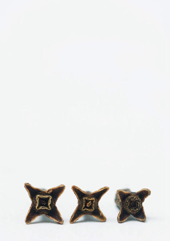 无人,竖图,室内,特写,白天,白色背景,正面,桌面,桌子,一排,整齐,干燥,调料,香料,食品,棕色,调味品,调味料,食物,排列,三个,摄影,影棚,队列,光辉,晾干,初恋,愁绪,愁怨,华北紫丁香,龙梢子,丁香,紫丁香,彩图,影棚拍摄,拍摄