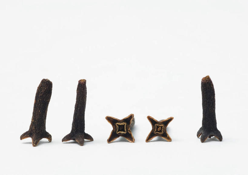 无人,横图,室内,特写,白天,白色背景,正面,桌面,桌子,一排,许多,整齐,干燥,调料,香料,食品,棕色,调味品,调味料,食物,排列,摄影,影棚,队列,光辉,晾干,初恋,愁绪,愁怨,华北紫丁香,龙梢子,丁香,紫丁香,彩图,影棚拍摄,拍摄