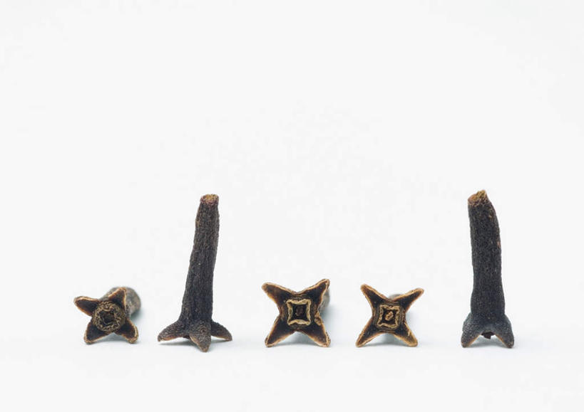 无人,横图,室内,特写,白天,白色背景,正面,桌面,桌子,一排,整齐,干燥,调料,香料,食品,棕色,调味品,调味料,食物,排列,四个,摄影,影棚,队列,光辉,晾干,初恋,愁绪,愁怨,华北紫丁香,龙梢子,丁香,紫丁香,彩图,影棚拍摄,拍摄