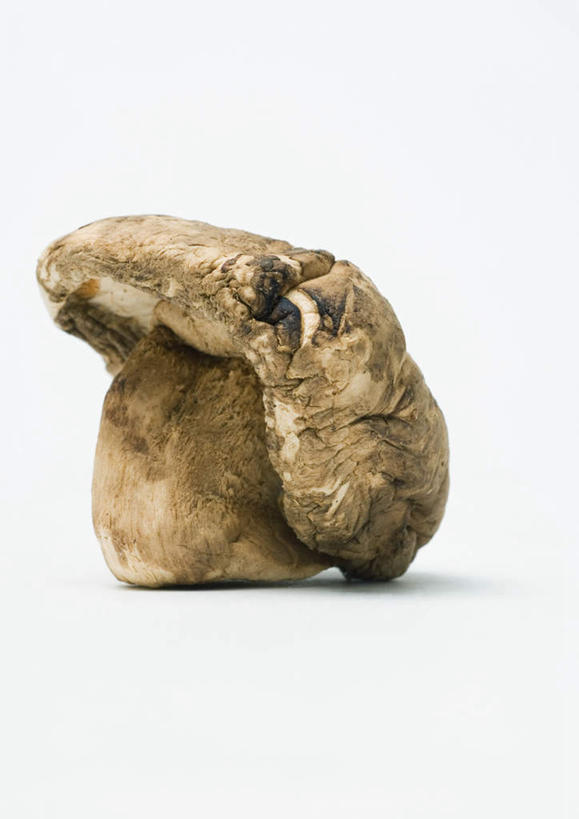 无人,竖图,室内,特写,白天,白色背景,正面,桌面,桌子,蔬菜,新鲜,干燥,菌菇,香菇,食品,棕色,菌类,食物,一个,食用菌,摄影,有机食品,绿色食品,影棚,单个,晾干,彩图,影棚拍摄,拍摄