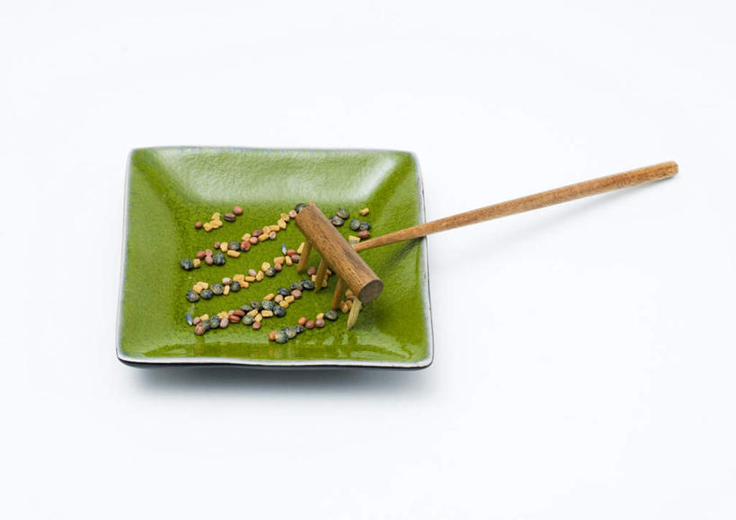 无人,横图,俯视,室内,特写,白天,白色背景,桌面,桌子,一排,许多,整齐,工具,食品,种子,食物,排列,黄色,红色,绿色,摄影,影棚,耙,队列,彩图,高角度拍摄,影棚拍摄,拍摄