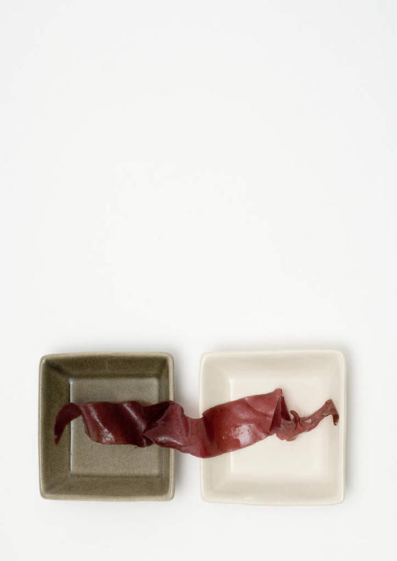 无人,竖图,俯视,室内,特写,白天,白色背景,桌面,桌子,餐具,食品,棕色,海洋生物,食物,红色,白色,碗,海藻,摄影,影棚,海草,水生物,进餐用具,烹调用具,彩图,高角度拍摄,影棚拍摄,拍摄