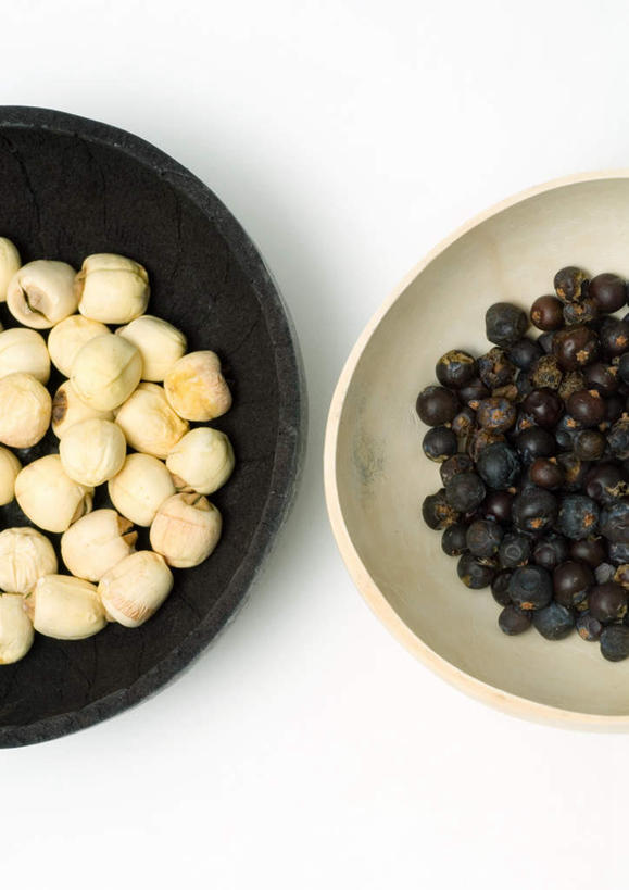 无人,竖图,俯视,室内,特写,白天,白色背景,植物,桌面,桌子,餐具,一堆,堆叠,堆积,草药,药草,中药,白色,黑色,碗,摄影,莲心,影棚,堆,药材,中草药,中药材,本草,杜松子,进餐用具,烹调用具,彩图,高角度拍摄,影棚拍摄,拍摄