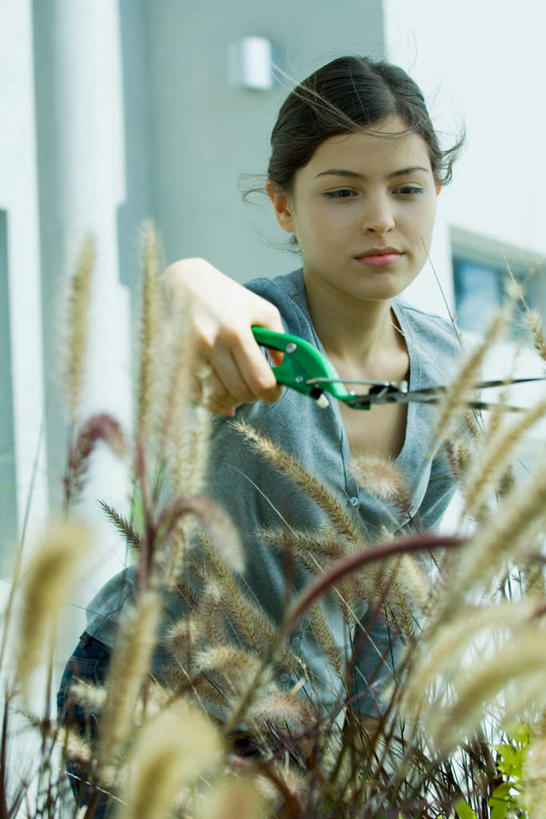 西方人,一个人,家,站,竖图,室外,白天,仰视,旅游,度假,欧洲,欧洲人,仅一个年轻女性,仅一个女性,仅一个人,握,服装,朦胧,模糊,房屋,屋子,园艺,芒草,拿,拿着,注视,休闲装,娱乐,楼房,住宅,衣服,观察,看,站着,享受,休闲,休闲服,放松,握着,服饰,观看,察看,关注,户外运动,园艺剪刀,年轻女性,女人,女性,白种人,站立,半身,彩图,低角度拍摄,房子