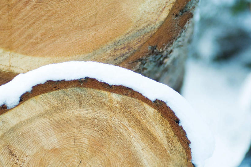 无人,横图,室外,特写,白天,正面,旅游,度假,美景,雪,大雪,朦胧,模糊,木材,木头,积雪,景观,雪景,冬季,冬天,娱乐,自然,享受,休闲,景色,放松,寒冷,冰冷,原木,自然风光,严寒,冰凉,酷寒,凛冽,凛凛,极冷,彩图