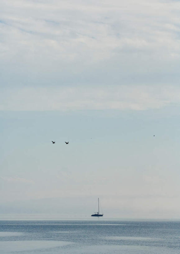 帆船,无人,竖图,室外,白天,正面,旅游,度假,海浪,海洋,美景,船,鸟,飞翔,波纹,水鸟,景观,浪花,水平线,云,云朵,辽阔,海平线,涟漪,云彩,娱乐,蓝色,白云,倒影,蓝天,水纹,天空,自然,海水,交通工具,波浪,天,两只,享受,休闲,广阔,景色,安静,放松,晴朗,一望无际,水禽,禽类,倒映,自然风光,海景,水晕,无边无际,一马平川,反照,寂静,大海,风浪,海,海水的波动,近岸浪,涌浪,晴空,彩图,水天相接,水天一线