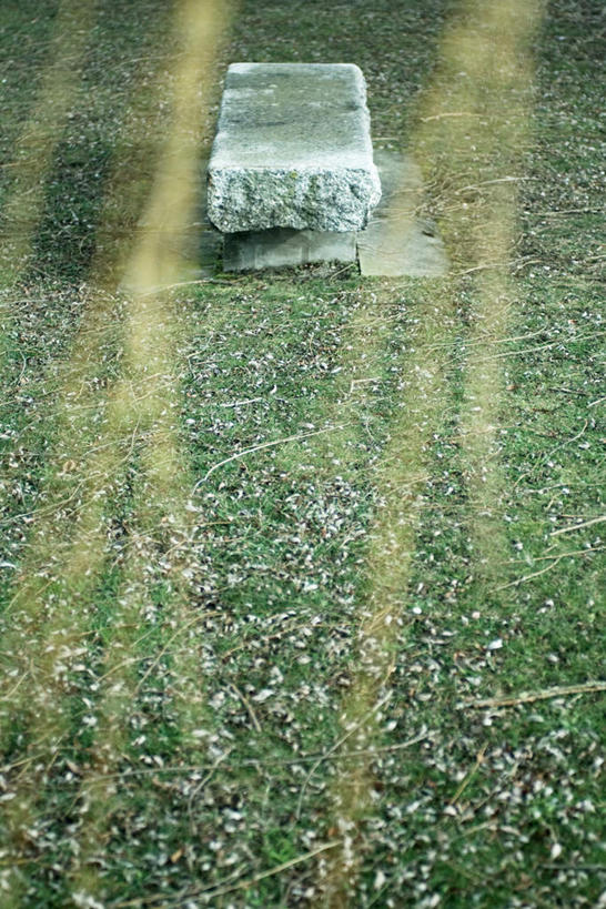 无人,竖图,室外,白天,正面,旅游,度假,草地,草坪,美景,植物,椅子,朦胧,模糊,景观,娱乐,草,绿色,自然,享受,休闲,石椅,景色,放松,自然风光,彩图