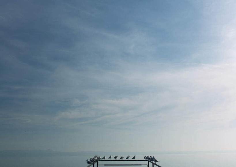 无人,栏杆,横图,室外,白天,仰视,旅游,度假,湖,湖泊,美景,水,鸟,许多,朦胧,模糊,鸟类,水鸟,湖面,景观,水流,水面,水平线,云,云朵,围栏,辽阔,海平线,云彩,娱乐,护栏,蓝色,白云,蓝天,天空,自然,湖水,天,享受,休闲,广阔,景色,放松,晴朗,一望无际,水禽,禽类,自然风光,无边无际,一马平川,晴空,彩图,低角度拍摄,水天相接,水天一线