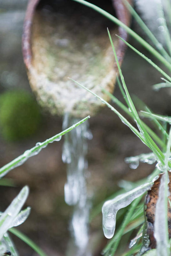 无人,竖图,俯视,室外,特写,白天,草地,美景,水,植物,朦胧,模糊,液体,冰,景观,水滴,冬天,冰柱,管道,水管,草,绿色,自然,景色,自然风光,彩图,高角度拍摄