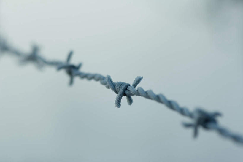 无人,横图,俯视,室外,特写,白天,美景,静物,连接,朦胧,模糊,铁,景观,冬季,冬天,自然,铁丝,景色,自然风光,嫁接,彩图,高角度拍摄