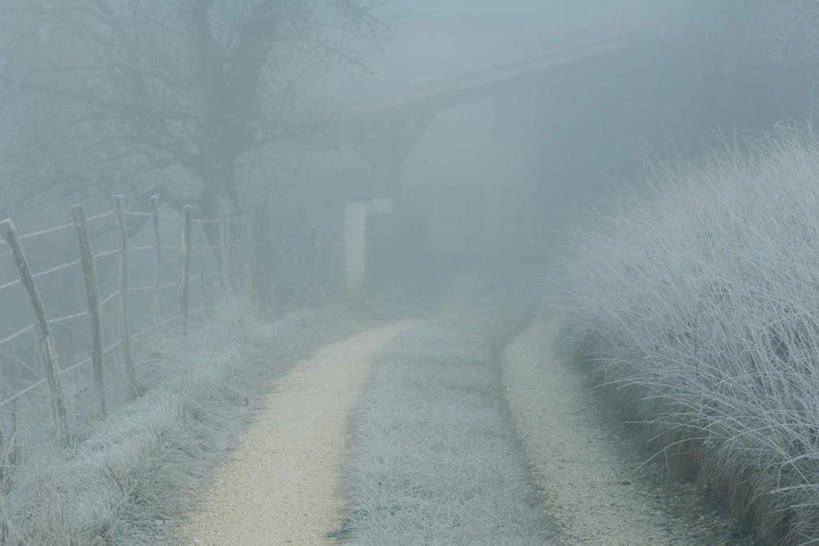 无人,栏杆,横图,室外,特写,白天,正面,草地,草坪,美景,植物,雾,道路,路,朦胧,模糊,栅栏,景观,篱笆,围栏,小路,交通,护栏,草,树,树木,绿色,自然,景色,乡间小路,生长,成长,迷雾,自然风光,大雾,彩图