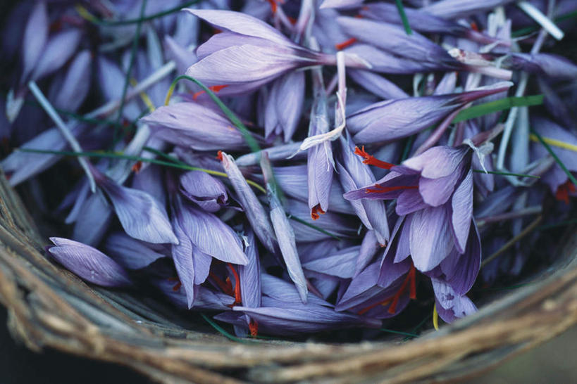 无人,横图,俯视,室内,特写,白天,植物,餐桌,桌子,一堆,许多,堆叠,堆积,朦胧,模糊,篮子,草药,中药,紫色,竹编,餐台,堆,鸢尾,药材,中草药,中药材,本草,紫蝴蝶,蓝蝴蝶,乌鸢,扁竹花,彩图,高角度拍摄