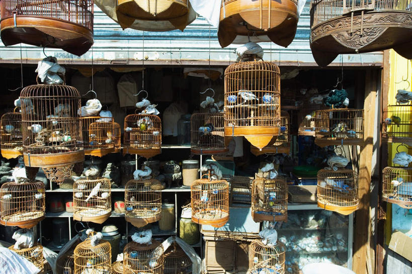 无人,商店,横图,室外,白天,正面,购物,度假,消费,美景,柜子,门,城市风光,超市,城市,指示牌,鸟,杯子,玻璃,广州,中国,亚洲,许多,阴影,光线,鸟类,标志,文字,影子,竹笼,墙,景观,鸟笼,娱乐,标识,墙壁,墙面,玻璃制品,阳光,玻璃瓶,瓶子,水杯,门框,享受,休闲,景色,放松,金融,百货,卷帘门,选购,贸易,百货公司,东亚,鸟食,广东,广东省,中华人民共和国,华南地区,省会,广州市,粤,血拼,茶杯,彩图,全身,购物商场,购物中心,商业中心