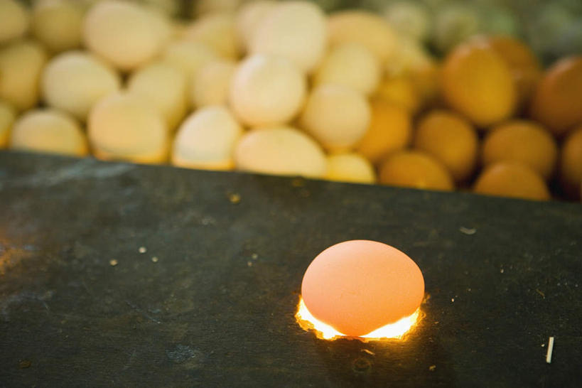 无人,横图,俯视,室内,特写,白天,火,许多,煎,朦胧,模糊,火苗,蛋,鸡蛋,草鸡蛋,彩图,高角度拍摄