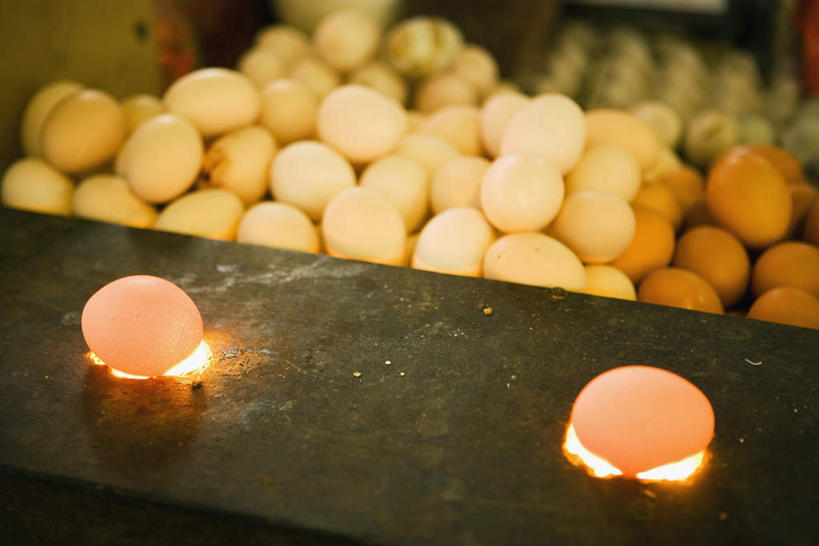 无人,横图,俯视,室内,特写,白天,火,许多,煎,朦胧,模糊,火苗,蛋,鸡蛋,草鸡蛋,彩图,高角度拍摄