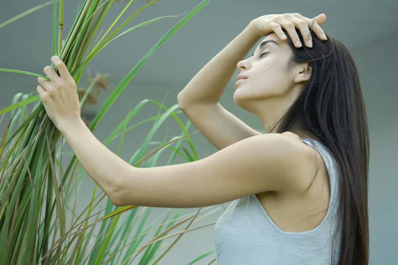 西方人,一个人,站,闭眼,笑,微笑,露齿笑,横图,室内,白天,仰视,植物,芦苇,竹子,叶子,欧洲,欧洲人,仅一个年轻女性,仅一个女性,仅一个人,握,服装,墙,粽叶,绿叶,休闲装,墙壁,墙面,衣服,站着,转头,休闲,休闲服,嫩叶,握着,服饰,箬叶,芦苇叶,碰,年轻女性,女人,女性,白种人,叶,叶片,闭眼睛,闭着眼,闭着眼睛,站立,半身,彩图,低角度拍摄