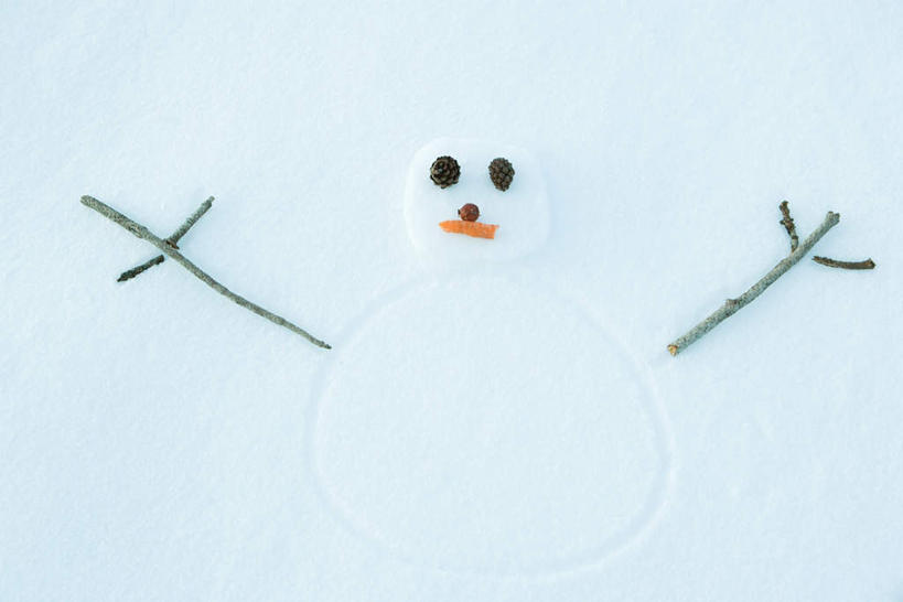 无人,横图,俯视,室外,特写,白天,雪,植物,大雪,萝卜,胡萝卜,蔬菜,新鲜,积雪,雪景,雪人,冬天,食品,炭,木炭,树,树干,树木,食物,一个,绿色,白色,自然,有机食品,绿色食品,生长,单个,成长,笑脸,红萝卜,甘荀,彩图,高角度拍摄