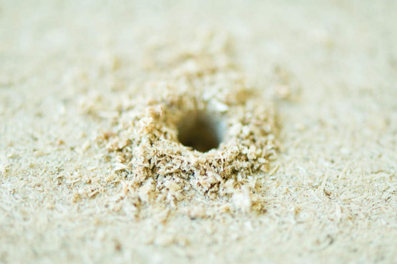 无人,横图,俯视,室内,白天,木板,木头,木屑,洞,孔,加工,制造,圆孔,彩图,高角度拍摄