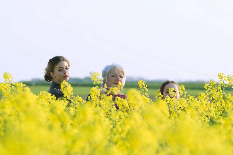 西方人,儿童,三个人,祖母,站,笑,微笑,露齿笑,横图,室外,白天,正面,草地,草坪,植物,欧洲,欧洲人,一排,阴影,整齐,盛开,光线,影子,花蕾,注视,草,花,花瓣,花朵,鲜花,排列,小孩,黄色,蓝色,绿色,蓝天,天空,阳光,花丛,天,花苞,花蕊,看,站着,奶奶,祖孙,队列,关注,外婆,外孙女,外祖母,老年女性,女孩,女人,女性,白种人,孙女,抬头,仰头,站立,半身,彩图,女生