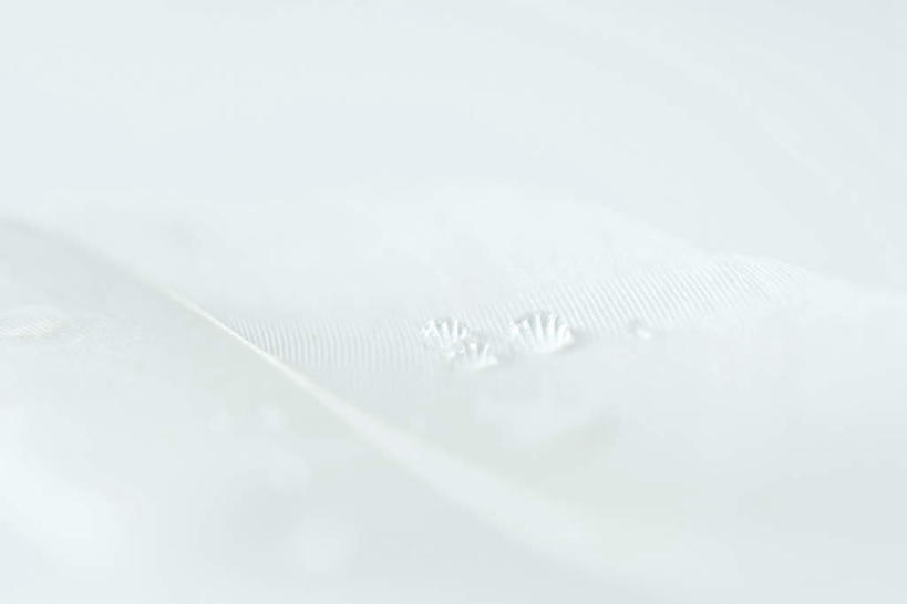 无人,横图,室内,白天,白色背景,正面,羽毛,毛,绒毛,白色,纯色,摄影,影棚,对比,隐藏,肌理,彩图,影棚拍摄,拍摄