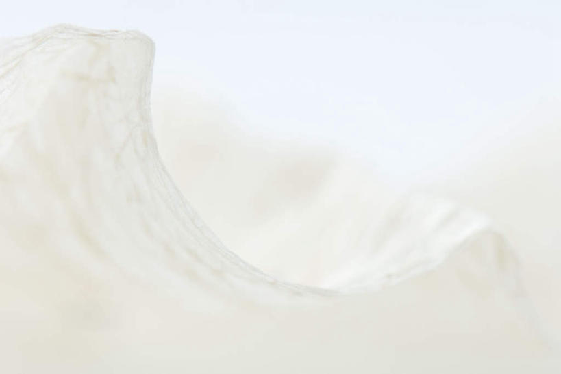 无人,横图,俯视,室内,白天,白色背景,椰子,条纹,纹路,纹理,线条,摄影,影棚,纤维,肌理,片状,彩图,高角度拍摄,影棚拍摄,拍摄