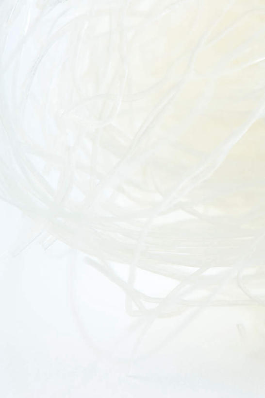 无人,竖图,俯视,室内,白天,白色背景,烹饪,许多,环绕,缠绕,纹理,食品,粉丝,菜肴,美食,食物,白色,干货,摄影,佳肴,影棚,纠缠,肌理,彩图,高角度拍摄,影棚拍摄,拍摄