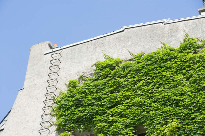 无人,高楼大厦,横图,室外,白天,仰视,树林,植物,楼梯,大厦,建筑,墙,墙壁,墙面,台阶,外墙,树,树木,蓝色,绿色,蓝天,天空,自然,天,生长,晴朗,成长,消防,万里无云,晴空,晴空万里,彩图,低角度拍摄,大楼,高层建筑,高楼