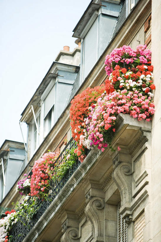 无人,家,高楼大厦,露台,竖图,室外,白天,仰视,花海,花圃,树林,植物,楼梯,阳台,大厦,建筑,叶子,阴影,盛开,光线,盆栽,影子,房屋,墙,屋子,公寓,盆景,花蕾,洋房,楼房,墙壁,墙面,台阶,外墙,住宅,花,花瓣,花朵,鲜花,树,树木,绿色,阳光,自然,花丛,花束,花田,花苞,花蕊,生长,成长,彩图,低角度拍摄,房子,大楼,高层建筑,高楼,露天阳台