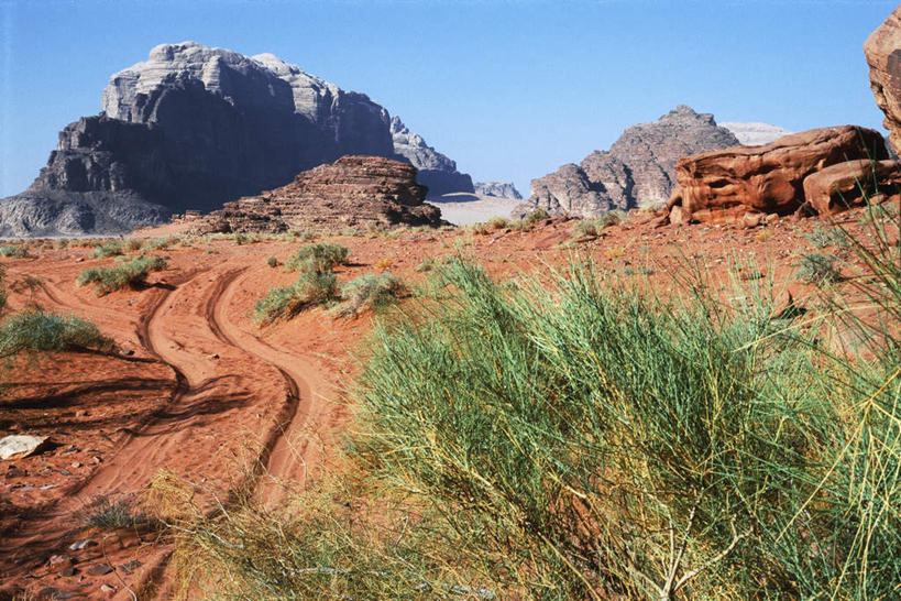 无人,横图,室外,白天,正面,旅游,度假,美景,沙漠,山,峡谷,植物,约旦,亚洲,阴影,光线,影子,景观,山峰,山峦,痕迹,娱乐,草,蓝色,绿色,蓝天,天空,阳光,自然,群山,天,享受,休闲,景色,放松,晴朗,灌木,干旱,自然风光,西亚,万里无云,约旦哈希姆王国,大漠,砂漠,晴空,晴空万里,彩图,轮胎印