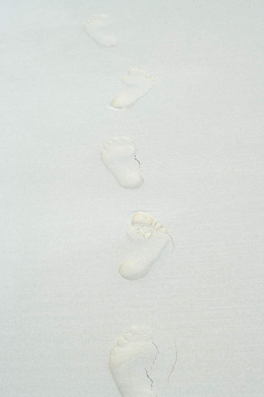 无人,竖图,俯视,室外,特写,白天,美景,沙滩,一排,许多,脚印,朦胧,模糊,整齐,沙子,海岸,景观,沙地,排列,自然,景色,队列,自然风光,海滩,彩图,高角度拍摄