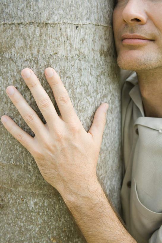 西方人,手,一个人,站,抱,竖图,室外,特写,白天,正面,植物,欧洲,欧洲人,仅一个男性,仅一个人,仅一个中年男性,一棵,树,树木,绿色,自然,站着,手部,生长,成长,抱着,搂着,男人,男性,中年男性,白种人,搂,搂抱,站立,半身,彩图