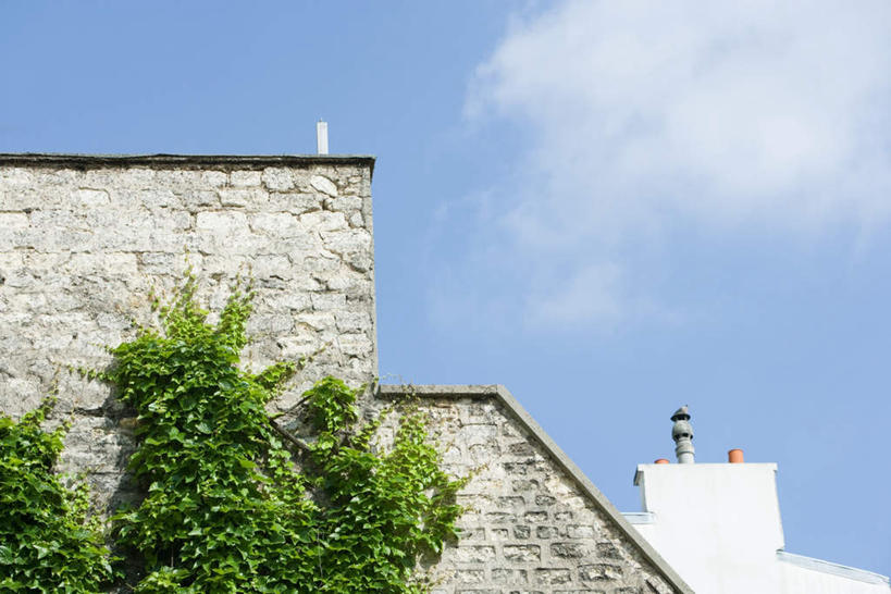 无人,家,横图,室外,白天,仰视,旅游,度假,美景,植物,城市风光,标志建筑,城市,地标,建筑,许多,房屋,墙,屋子,景观,云,云朵,公寓,建筑群,常春藤,爬山虎,草药,云彩,娱乐,建设,洋房,楼房,中药,墙壁,墙面,住宅,蓝色,白云,蓝天,天空,天,享受,休闲,景色,放松,药材,中草药,爬墙虎,中药材,本草,地锦,趴山虎,巴山虎,彩图,低角度拍摄,房子,常青藤