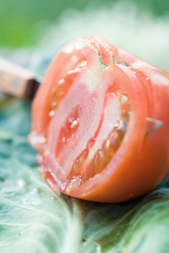 无人,竖图,俯视,室外,白天,竞争,桌面,桌子,蔬菜,西红柿,对抗,切开,阴影,新鲜,冲突,光线,影子,灯光,食品,刀具,半个,破坏,食物,红色,刀,切,一半,武器,战争,有机食品,绿色食品,水果刀,损坏,攻击,威胁,对立,矛盾,兵器,防御,剖面,切面,敌对,挫败,斗争,抗拒,抗衡,凶器,杀伤,威慑,危险,番茄,彩图,高角度拍摄