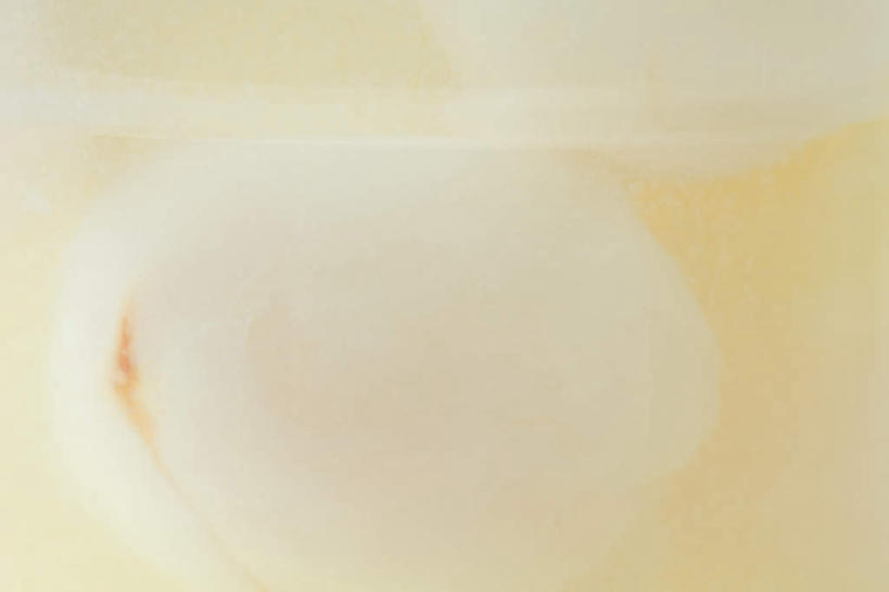 无人,横图,俯视,室内,特写,白天,荔枝,水果,朦胧,模糊,新鲜,液体,生食,食品,果实,食物,一个,白色,有机食品,绿色食品,单个,离枝,彩图,高角度拍摄