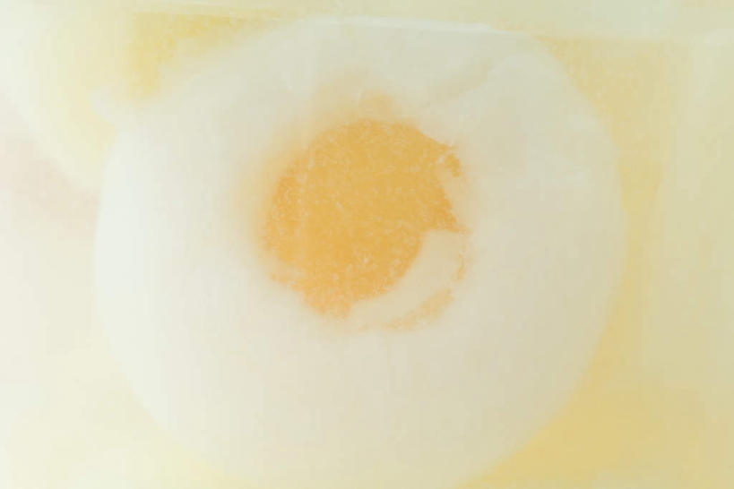 无人,横图,俯视,室内,特写,白天,荔枝,水果,朦胧,模糊,新鲜,罐头,液体,生食,食品,果实,食物,一个,白色,有机食品,绿色食品,单个,离枝,彩图,高角度拍摄