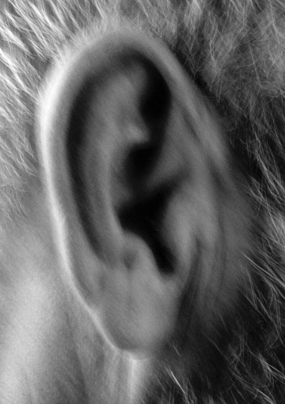 西方人,耳朵,脑,一个人,站,竖图,室内,特写,白天,白色背景,侧面,欧洲,欧洲人,仅一个男性,仅一个人,站着,仅一个老年男性,摄影,影棚,老年男性,男人,男性,白种人,脑部,脑子,耳,耳部,站立,半身,彩图,影棚拍摄,拍摄