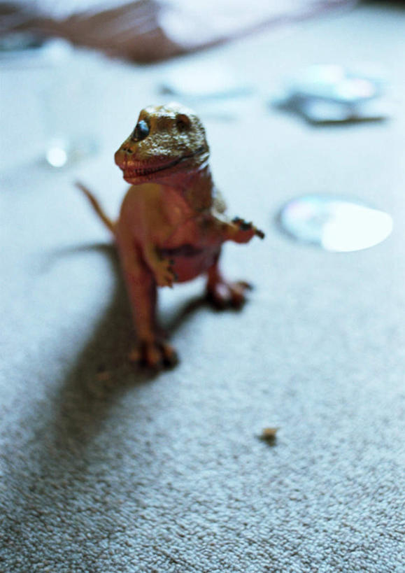 无人,坐,竖图,俯视,室内,特写,白天,游戏,静物,玩具,朦胧,模糊,地面,玩,娱乐,一个,模型,休闲,恐龙,单个,玩耍,嬉戏,坐着,彩图,高角度拍摄