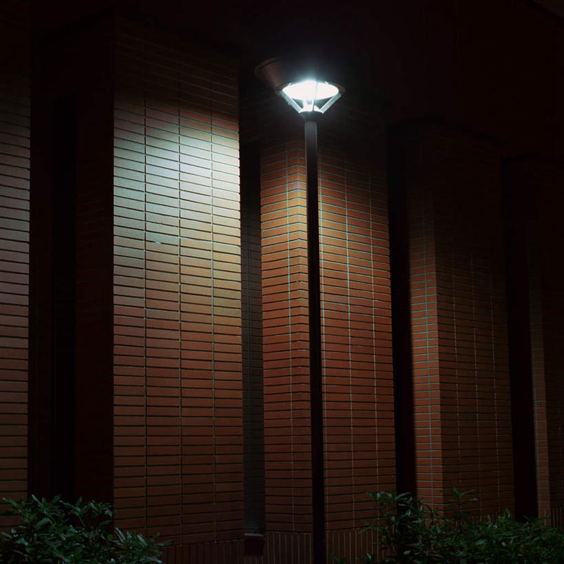 无人,方图,室外,夜晚,正面,度假,美景,植物,窗户,窗帘,城市风光,城市,路灯,指示牌,照明,朦胧,模糊,标志,文字,景观,灯光,娱乐,标识,玻璃窗,灯,树,树木,绿色,自然,享受,休闲,景色,放松,生长,成长,照亮,照明设备,一盏,彩图